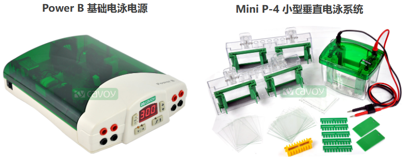 聚丙烯酰胺凝胶电泳介绍