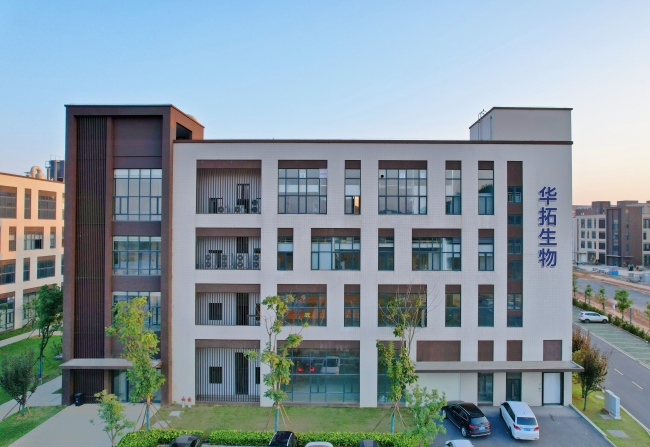 J774A.1小鼠单核细胞巨噬细胞|J774A.1细胞|小鼠