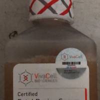 VivaCell货号C2730-0100低IgG胎牛血清19121878899上海睿安生物