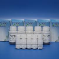 血清/血浆游离DNA提取磁珠