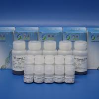 RNA提取纯化磁珠