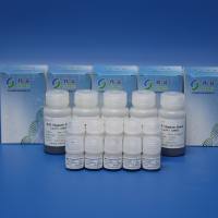 痕量细胞DNA/RNA吸附磁珠