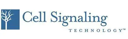 代理：CST全线产品，欢迎来电咨询！