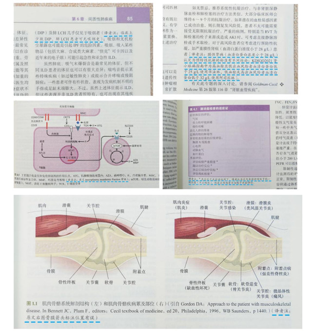 王辰院士领衔经典升级|《希氏内科学精要》终于迎来中英双语版 王辰院士领衔经典升级|《希氏内科学精要》终于迎来中英双语版
