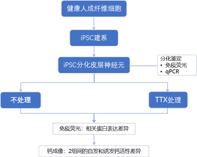 昂朴-10.png