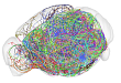 Nature Neuroscience 复旦大学脑科学研究院许晓鸿团队联合攻关解析下丘脑神经元投射组织规律