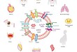 外泌体提取，及外泌体整体研究 Exosome 研载生物
