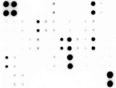 1312436941.gif
