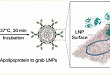 前沿技术解读 | GrAb 实现 mRNA 脂质纳米粒靶向递送 抗体功能化新突破