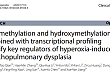 艾斯基因项目文章 | 多组学联合：DNA 甲基化和羟甲基化结合转录组分析鉴定高氧诱导支气管肺发育不良的关键调控因子