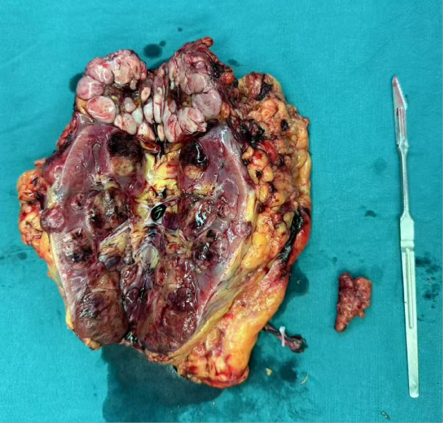 图片28.png 图片28.png