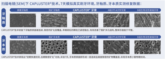 微信图片_20260529175532_556_5.png