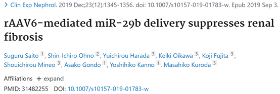 AAV 在肾脏疾病研究中的应用
