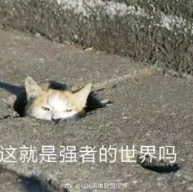 user-title