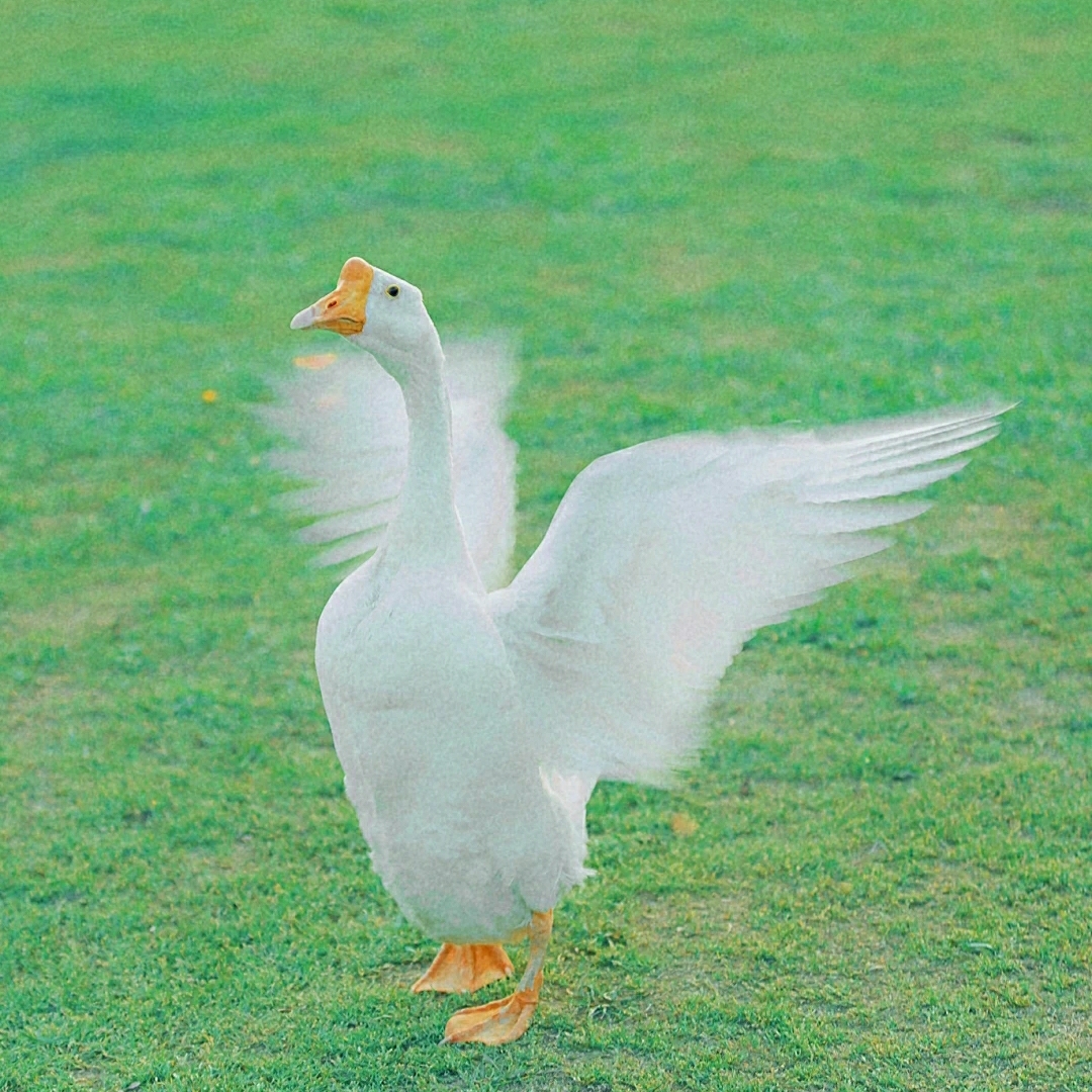 user-title