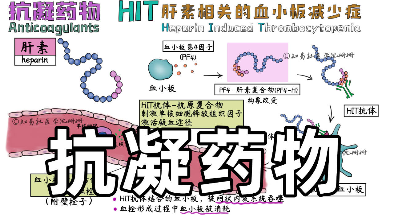 低分子肝素 华法林图片