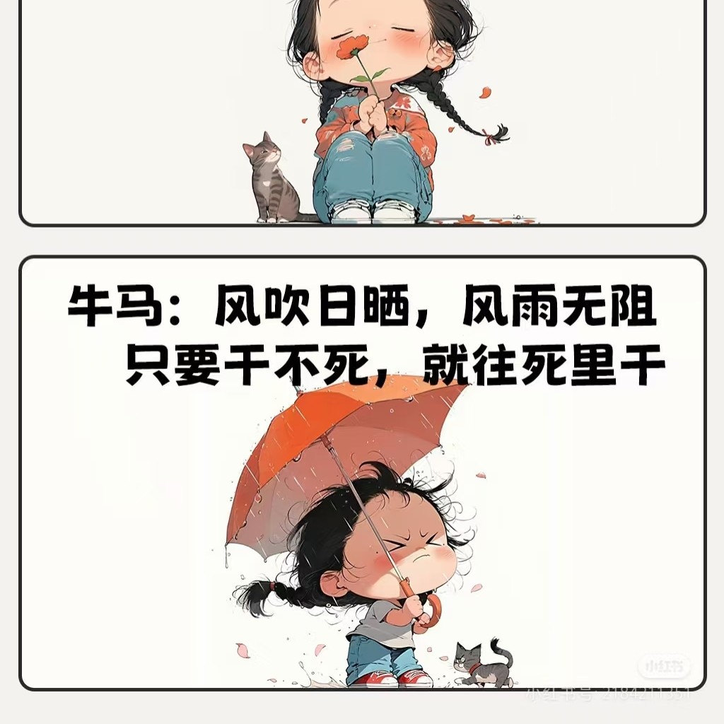 dxy 的头像