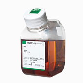 Gibco?澳洲胎牛血清