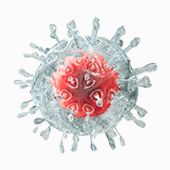 派真 AAV 病毒包裝服務