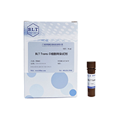 博鷺騰Trans-D細胞轉染試劑