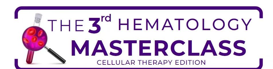 闪耀国际舞台,分享中国经验,陆道培医院陆佩华院长受邀参加重量级国际学术会议并做主题报告