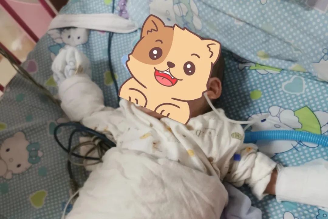 这个病最近漳州很多娃中招！漳州正兴医院儿科医生特别提醒