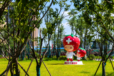 湖南妇女儿童医院私密科杨梦婕主任医师出席「紫亚兰国际抗衰老医美大会」，解读阴道松弛治疗修复难点