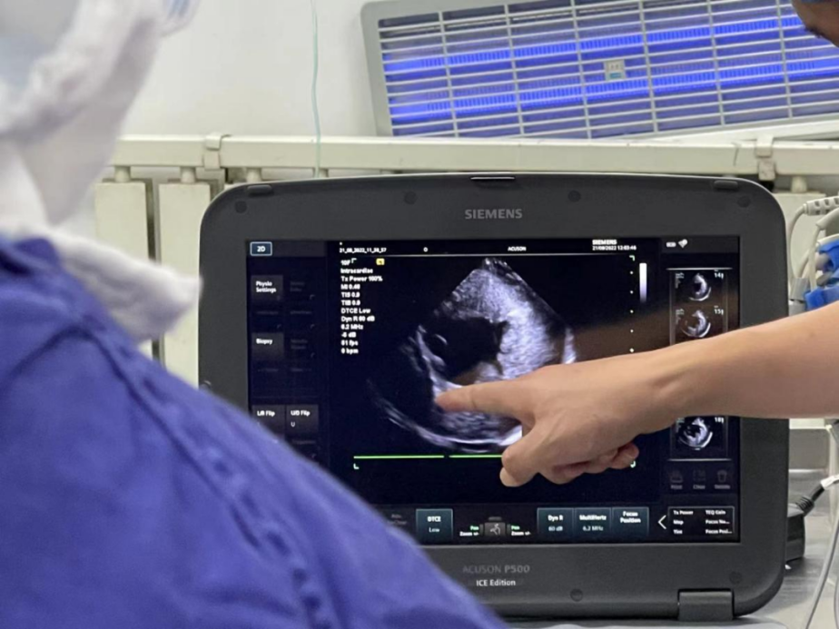 「心」的希望丨青岛大学附属医院心肌病团队成功挽救患暴发性心肌炎的花季少女