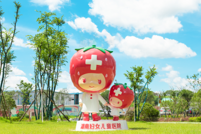 失去子宫后，她们组成了铿锵玫瑰战友团