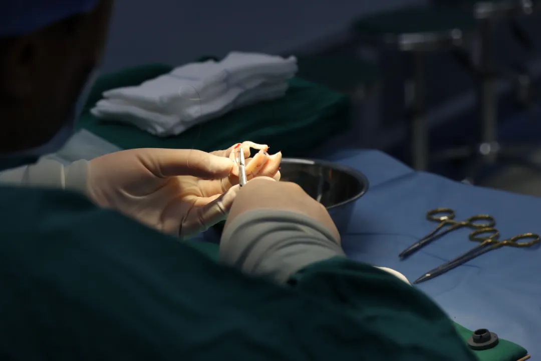 从无到有，耳再造术让小朋友「找回」耳朵