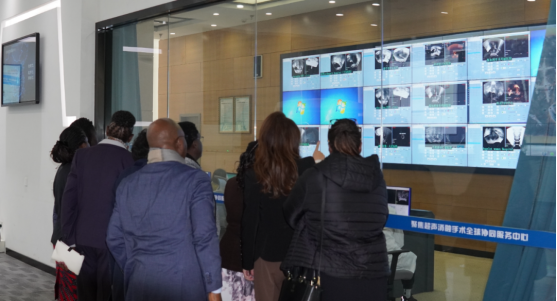 国际妇产科联盟 (FIGO) 主席携肯尼亚专家团队一行到访重庆海扶医院