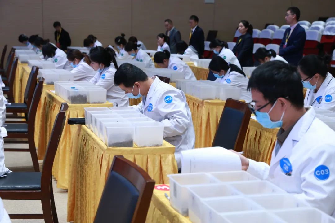 西安市中药调剂职业技能竞赛圆满完成