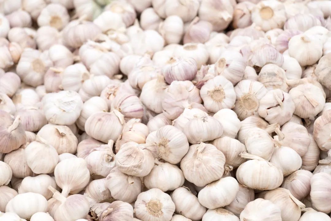 对付幽门螺杆菌,靠吃大蒜行不行?