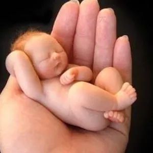 早产儿宝宝要想长得高，看这篇就够了