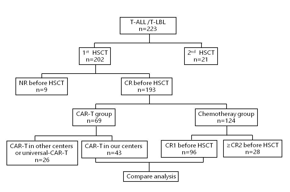 ASH 2023 中国之声丨曹星玉主任:CD7 CAR-T 后桥接 allo-HSCT 改善 R/R T-ALL/LBL 患者生存