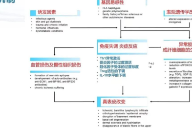 深圳市妇幼保健院顺利举办外阴皮肤病规范化诊疗及新进展学习班