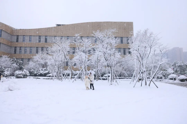 一个「滑跪」，膝盖竟然骨折？骨科医生提醒：雪天保护自己？向企鹅学习！