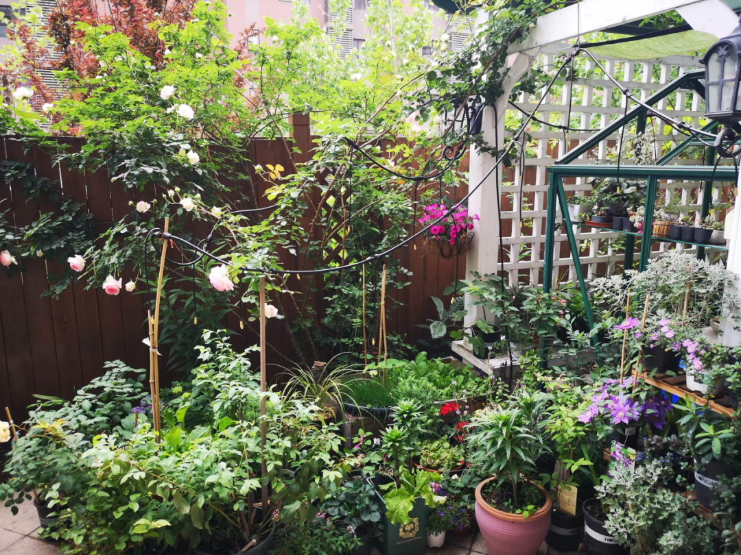 深圳新风和睦家医院脊柱外科医生汤冀强：关爱从行动出发 无偿为患者换药 2 年