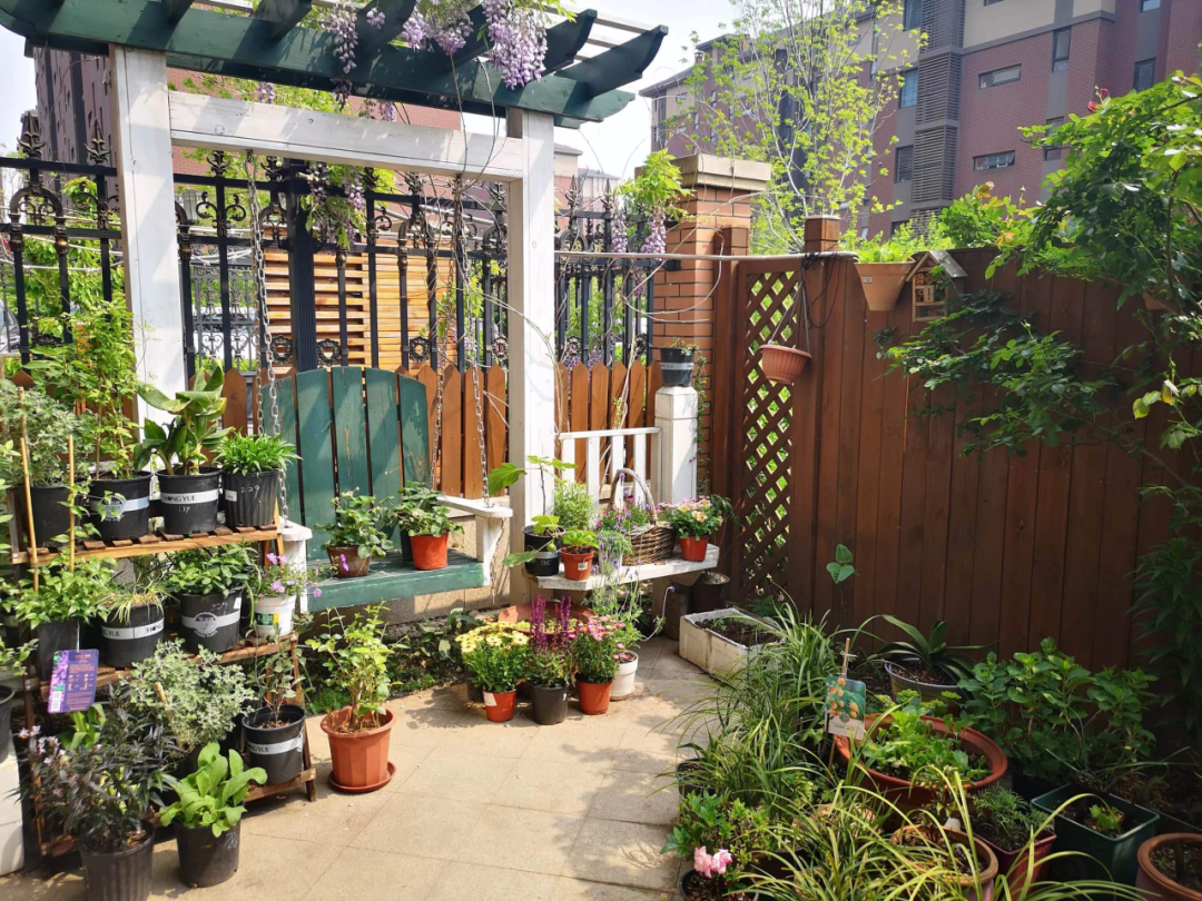 深圳新风和睦家医院脊柱外科医生汤冀强：关爱从行动出发 无偿为患者换药 2 年