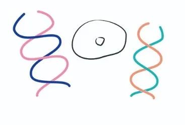 近视术后视力恢复,医生被拷问频率最高的那些问题...