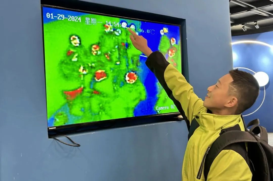 成都泡桐树中学的同学们在实践中了解中医药文化、探索眼奥秘