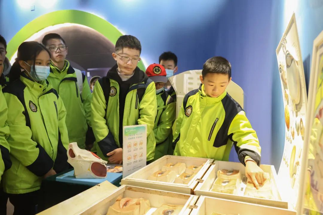 成都泡桐树中学的同学们在实践中了解中医药文化、探索眼奥秘