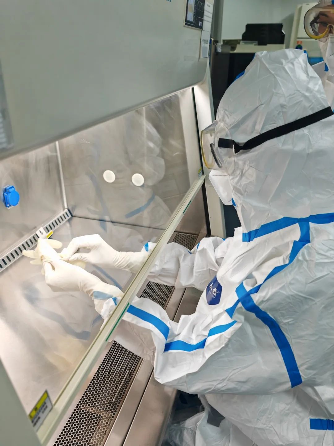 牙龈出血确诊急性髓系白血病!苏州明基医院自体造血干细胞移植为生命续航!