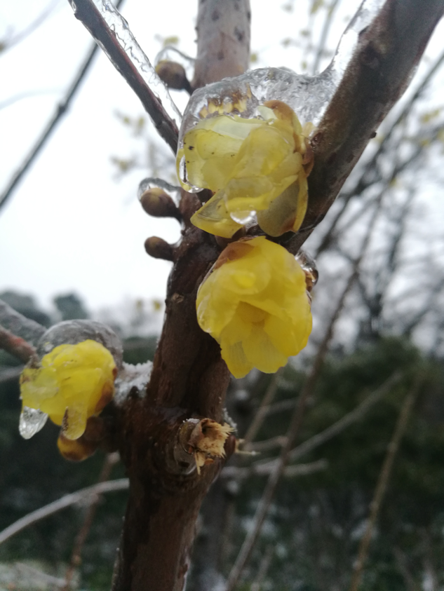 世界癌症日——恰逢「立春」,万物复苏