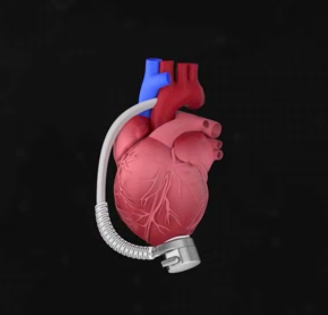 年轻小伙戴着他的一颗「中国心」回家过年