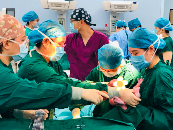 草莓「小龙宝」组团报到！快来吸吸这份新年喜气