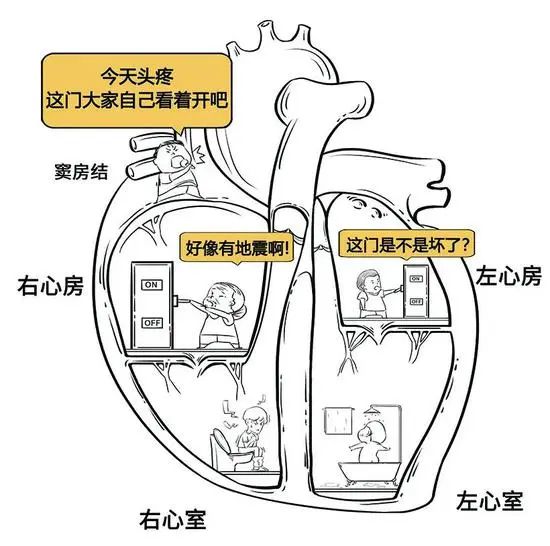 做个子宫肌瘤手术，为什么医生让我装临时心脏起搏器？