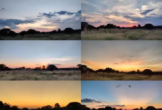 援非路上的家国情怀——郑州大学第五附属医院援非队员王栋