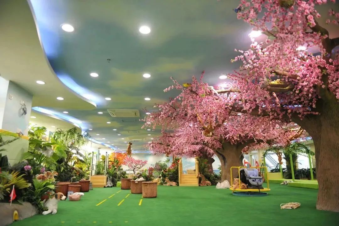 【展巾帼之美 凝奋进之力①】江门市妇幼保健院汇聚巾帼之力 待人如亲守护幸福之门
