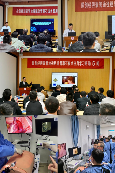 国内首次!微创仿真胆道结石取石技术培训班暨第五期微创经胆囊管途径胆总管取石培训班成功举办
